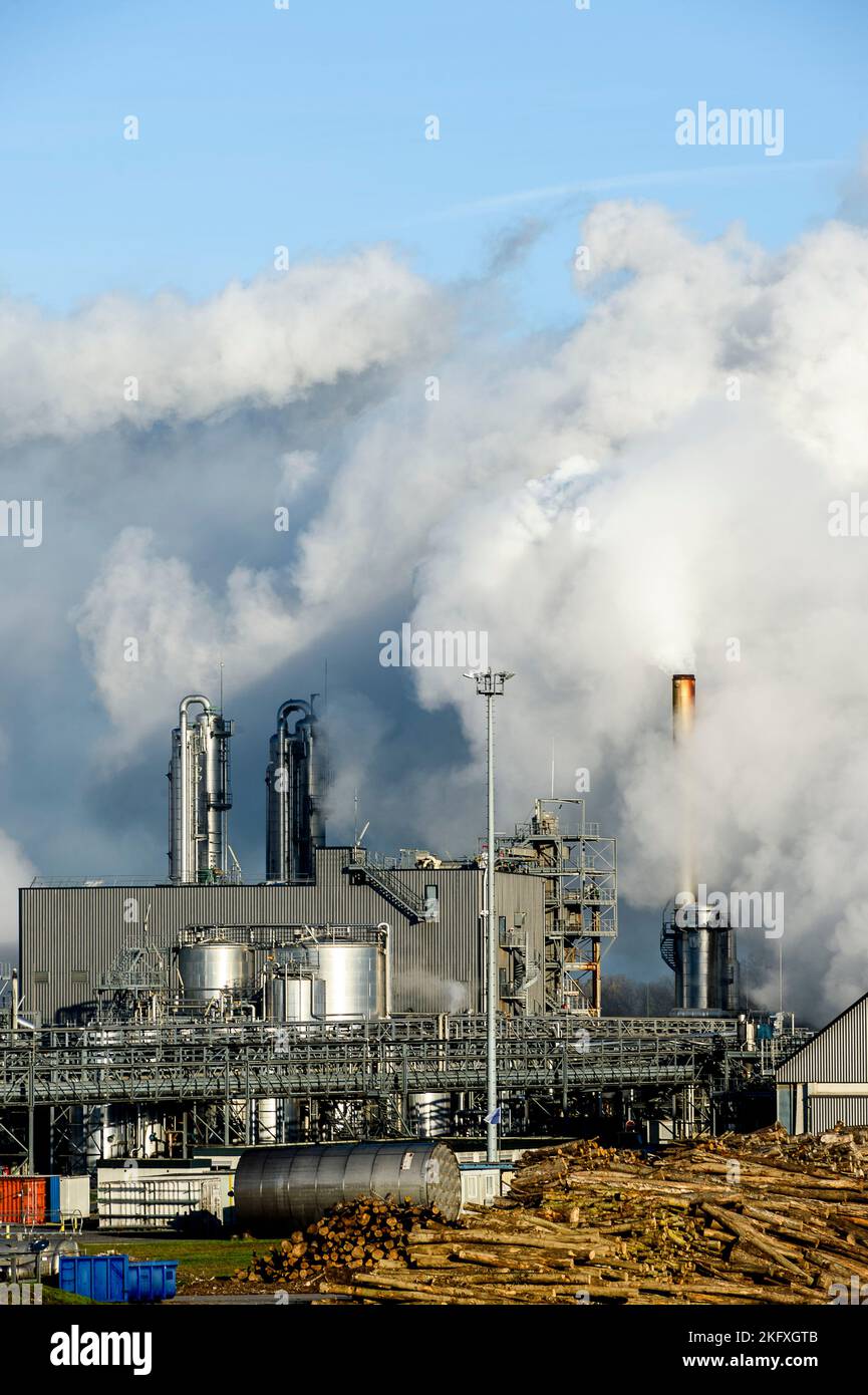 The cristal Union company site allows the transformation of the sugar