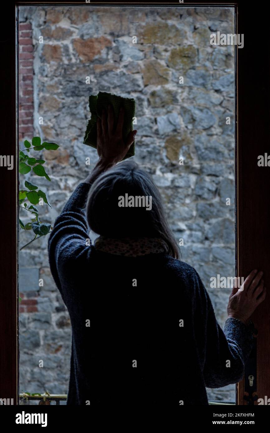 Domestic help in the house Household chores done by a woman Cleaning