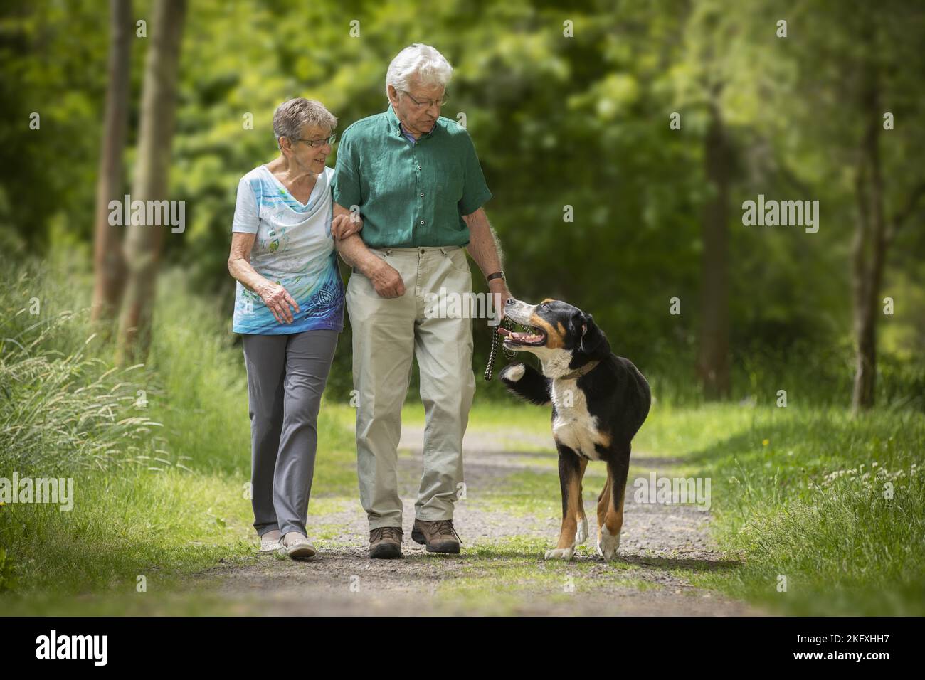 Seniors go for a walk with the Greater Swiss Mountain Dog Stock Photo