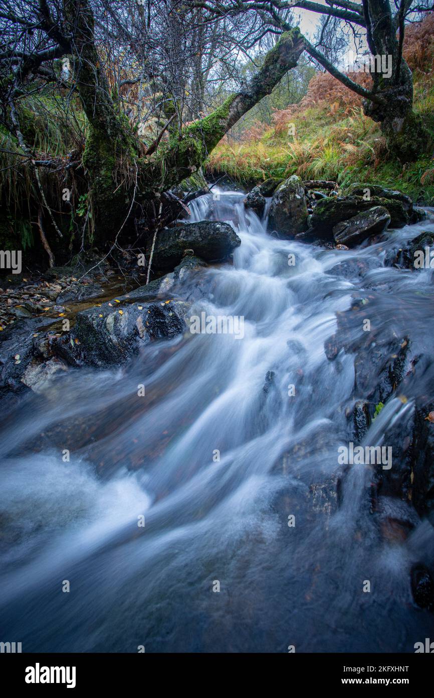 Stream in Loch Lomond and The Trossachs National Park, central Scotland Stock Photo