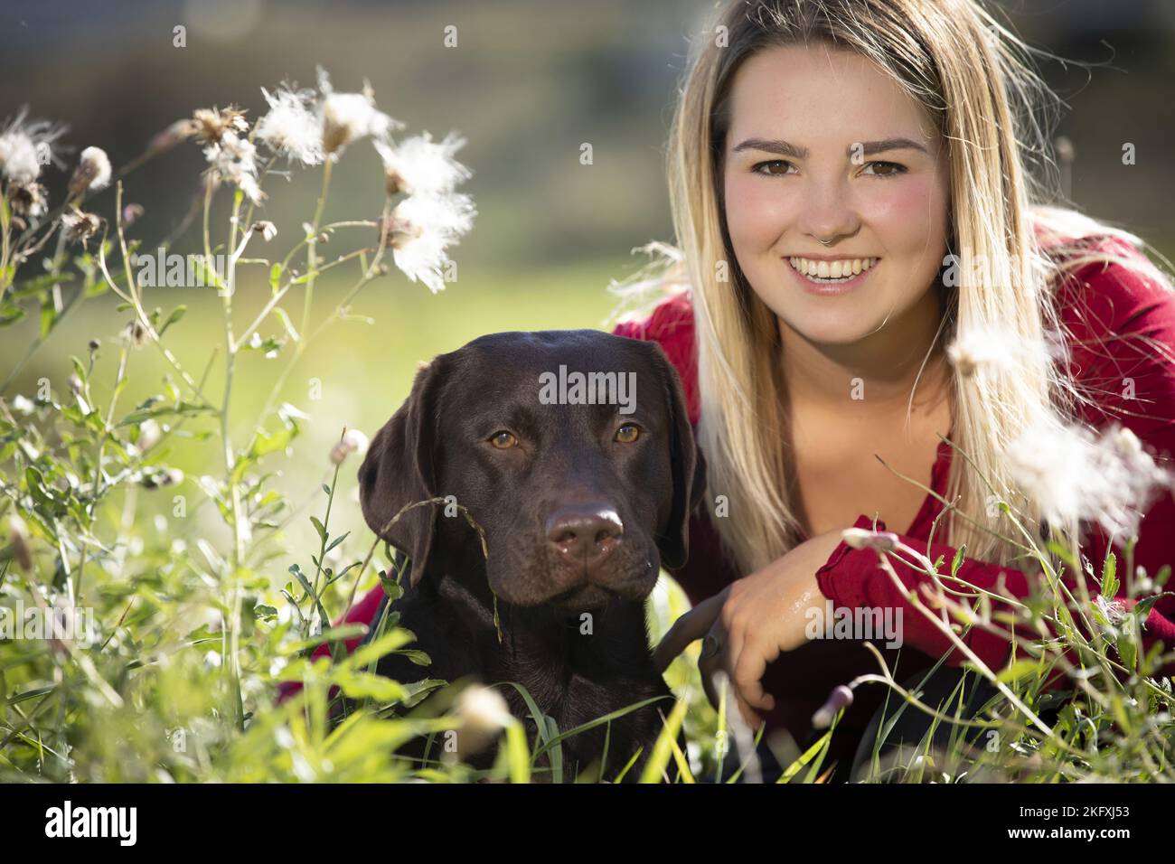woman with Labrador Retriever Stock Photo Alamy