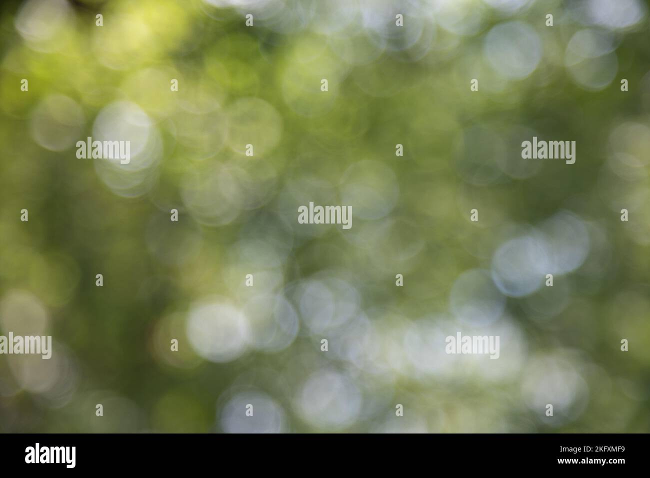 Lens flares light hi-res stock photography and images - Alamy