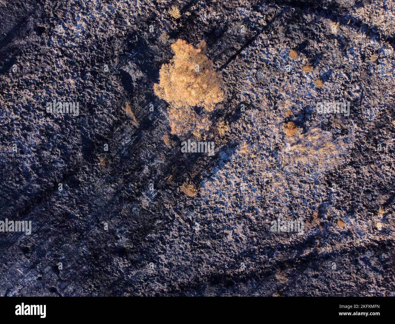 An aerial view of a forest burnt in a fire - climate change concept ...