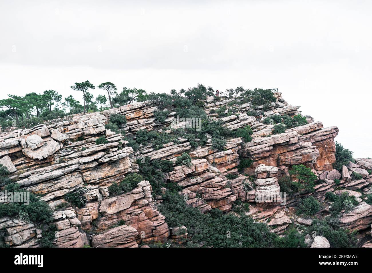 Lonely tree on mountain top hi-res stock photography and images - Alamy