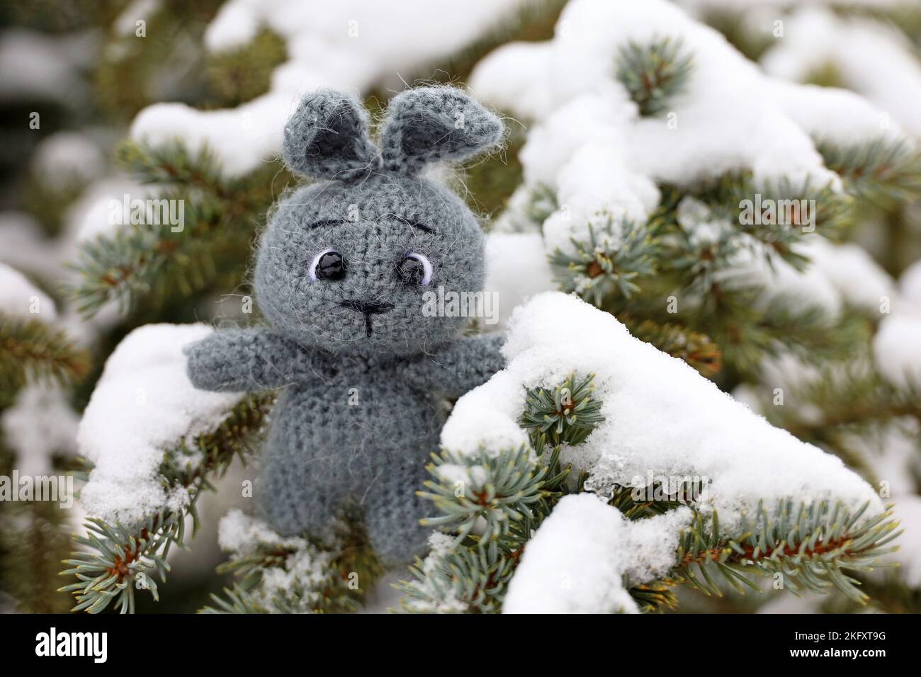 Grey knitted rabbit on a branch of snow covered fir tree. Symbol of Chinese New Year 2023 Stock Photo