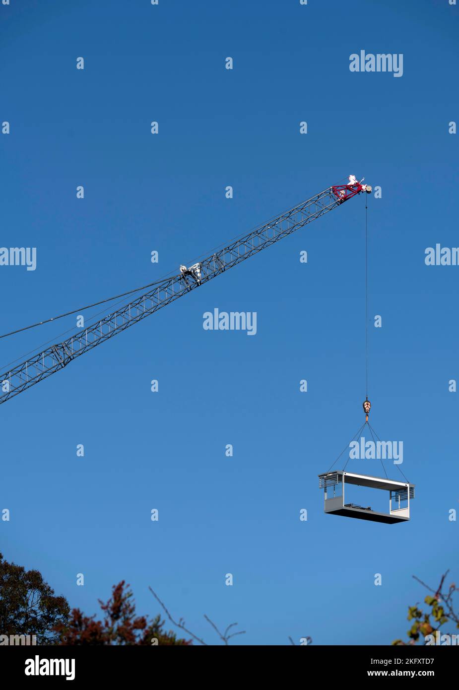 A Construction Crane on a site in Sydney, NSW, Australia (Photo by Tara