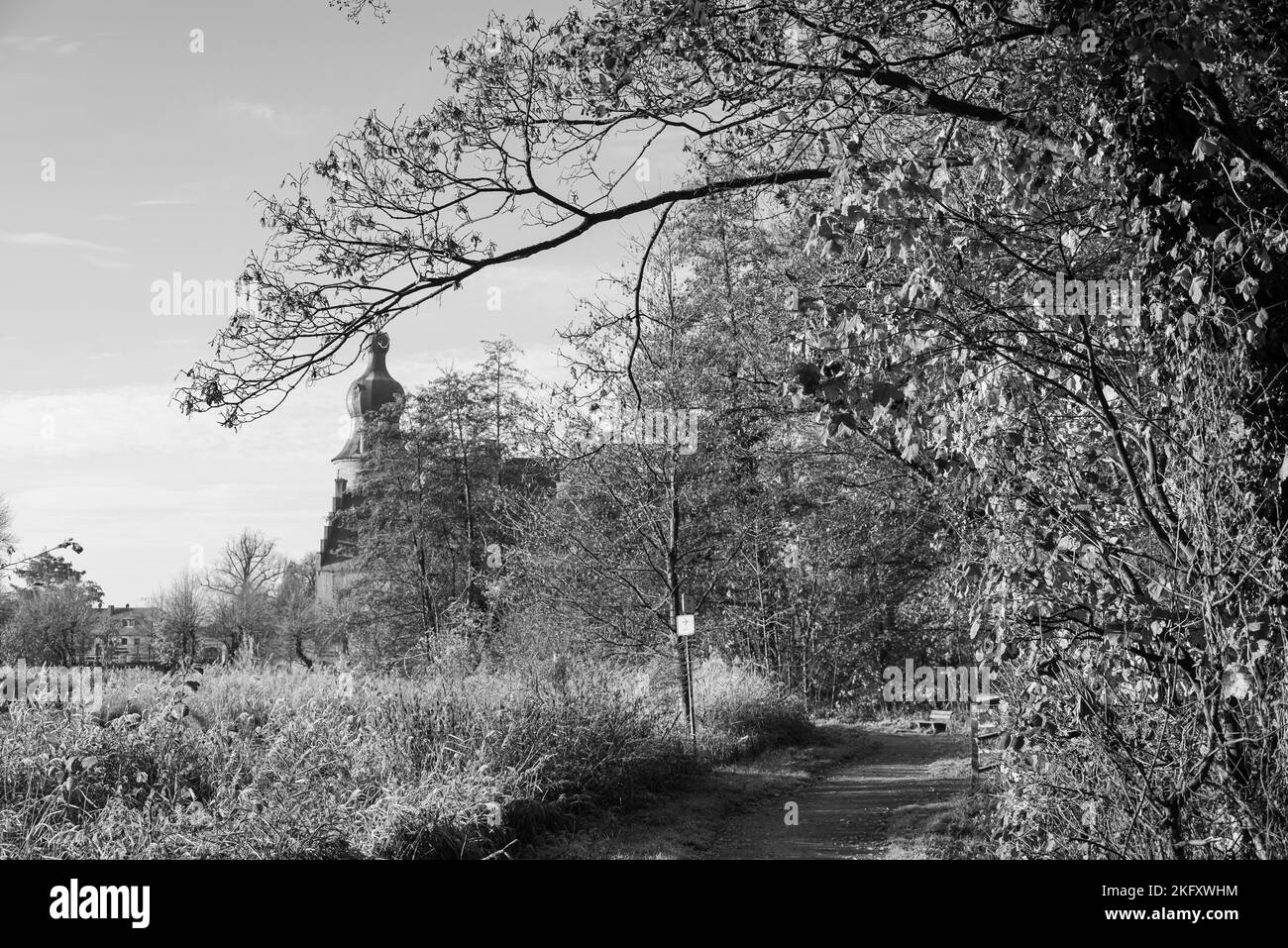 German forest in autumn tree Black and White Stock Photos & Images - …