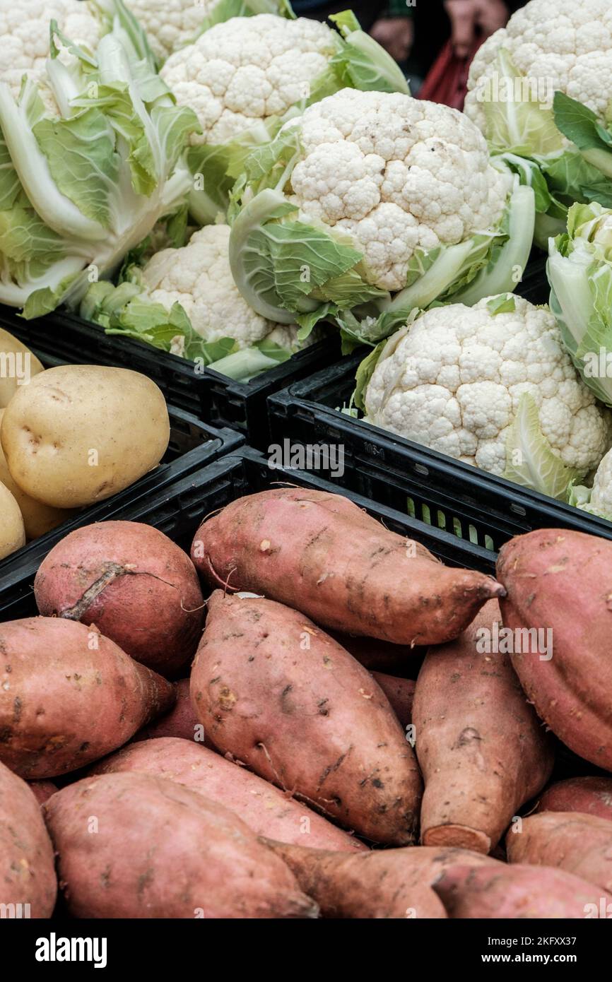 Epsom, Surrey, London UK, November 19 2022, Fresh Whole Raw Uncooked Sweet Potatoes And Cauliflower Vegetables With No People On A Market Stall Stock Photo