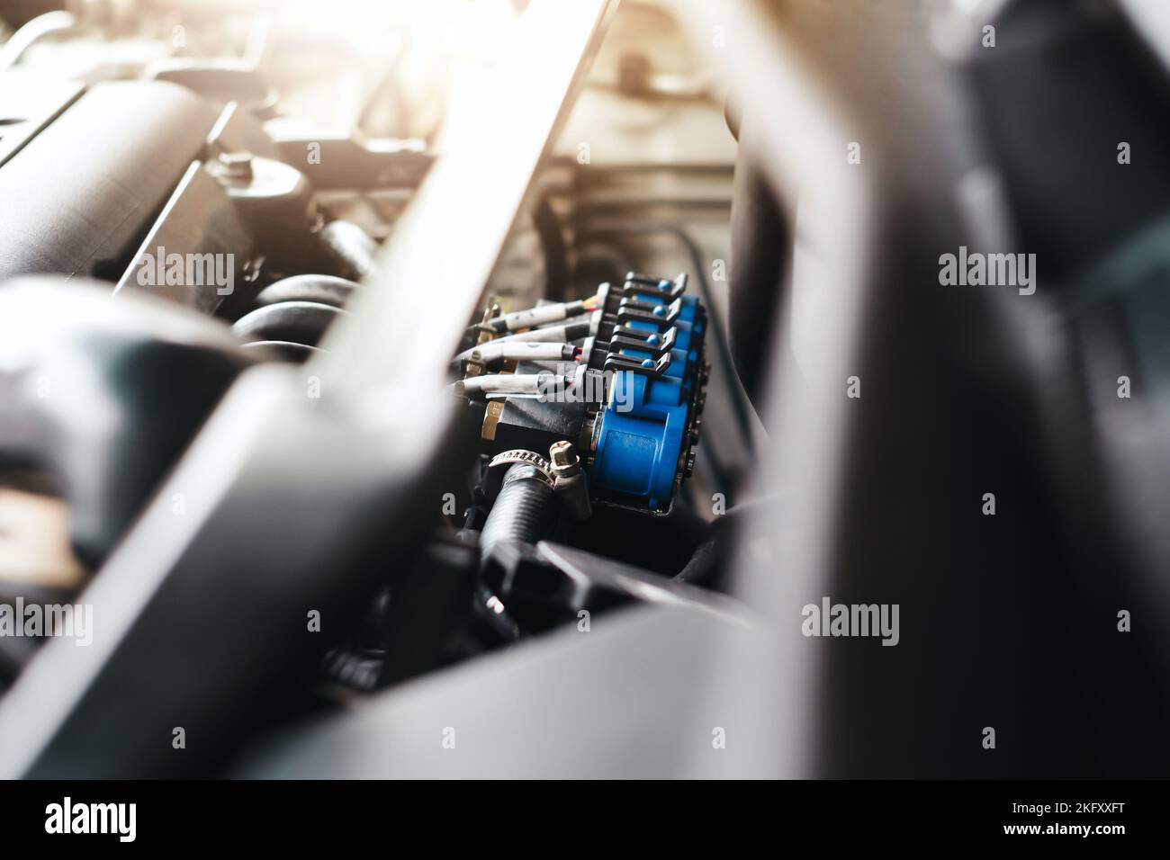 Gas fuel nozzles with rubber tube of the car gas fuel system