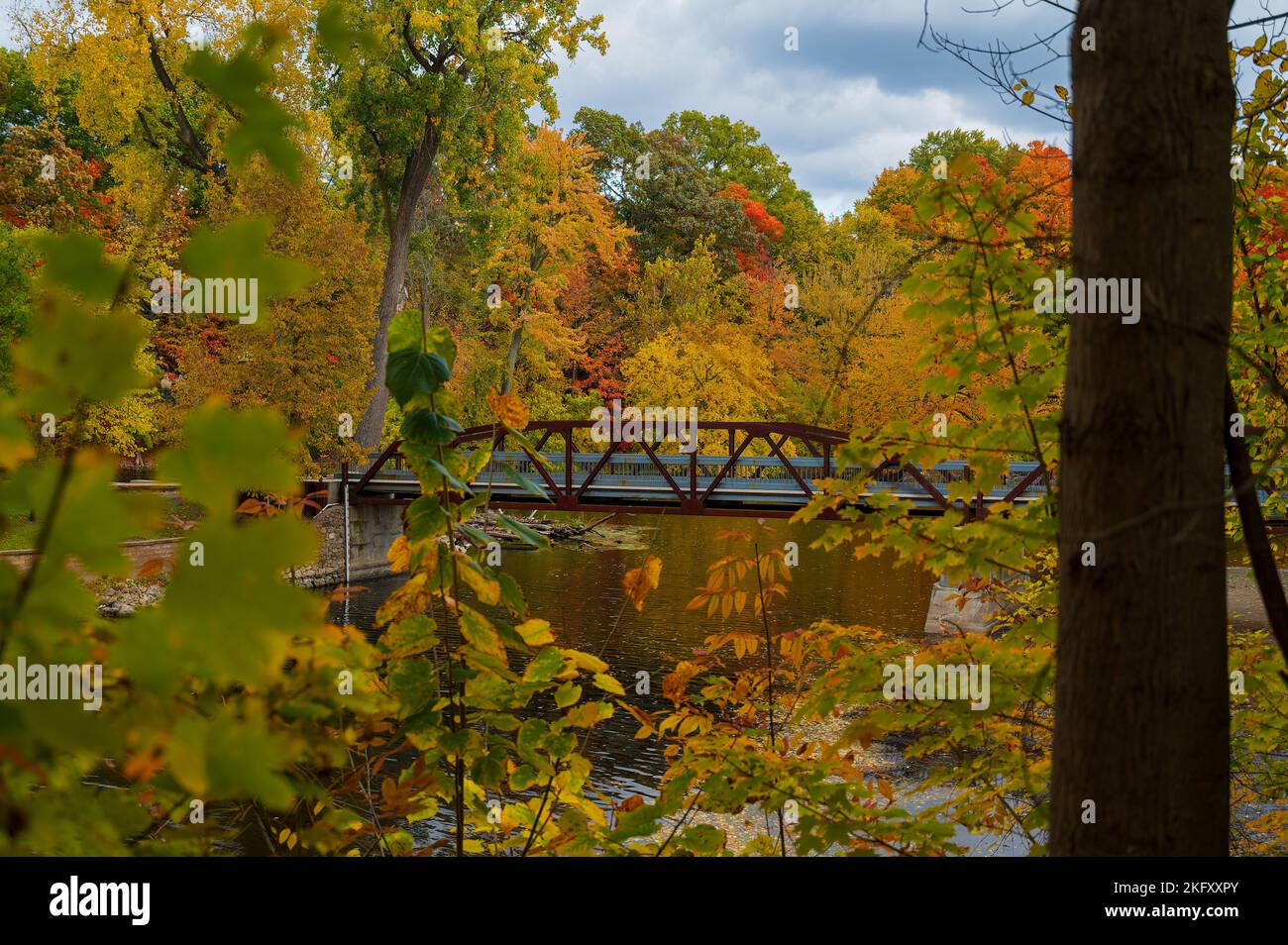 Vibrant fall colors surrounding the bridge in Island Park Grand Ledge ...