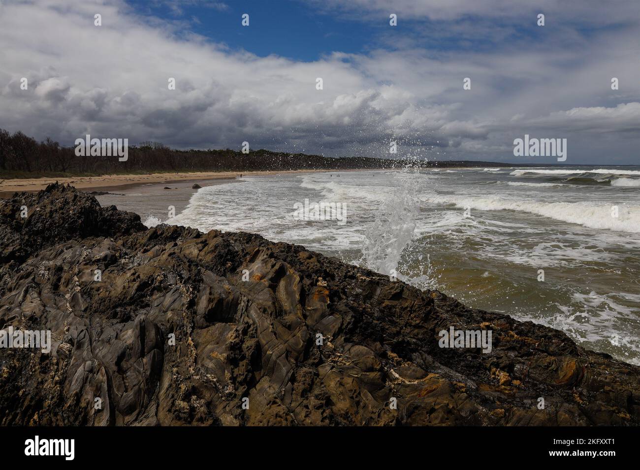 Cape conran parks victoria