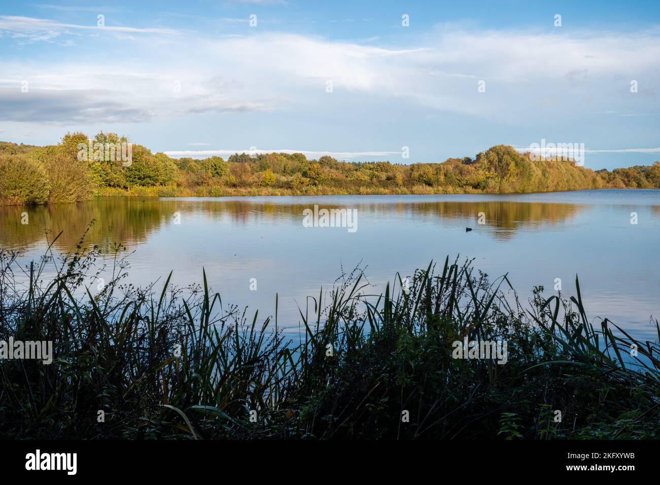 Moor Green Lakes Nature Reserve in Blackwater Valley, Berkshire, England, UK. View of the lakes