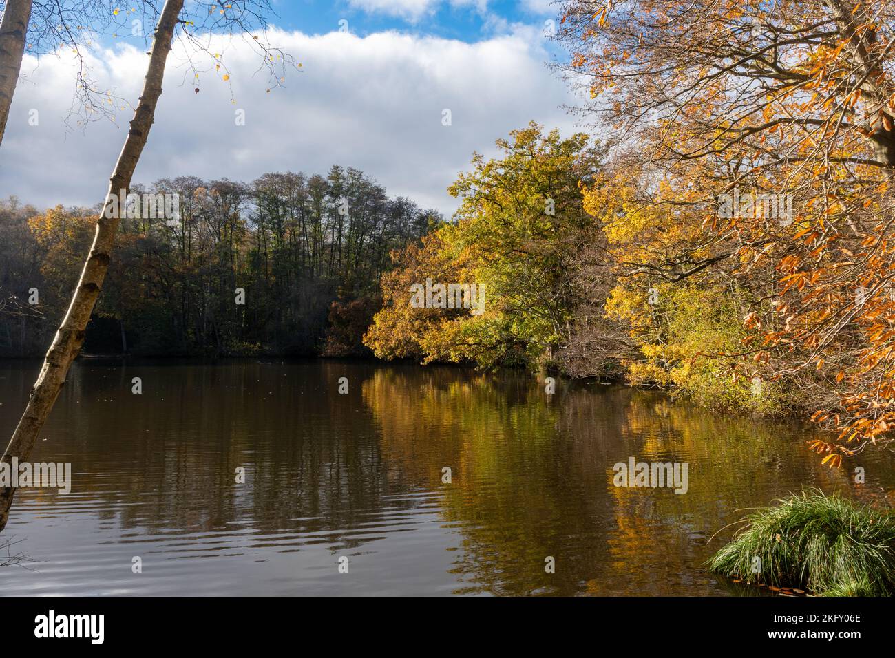 The Tarn, a lake beside Puttenham Common, Surrey, England, UK, on a sunny autumn day with colourful trees and blue sky Stock Photo