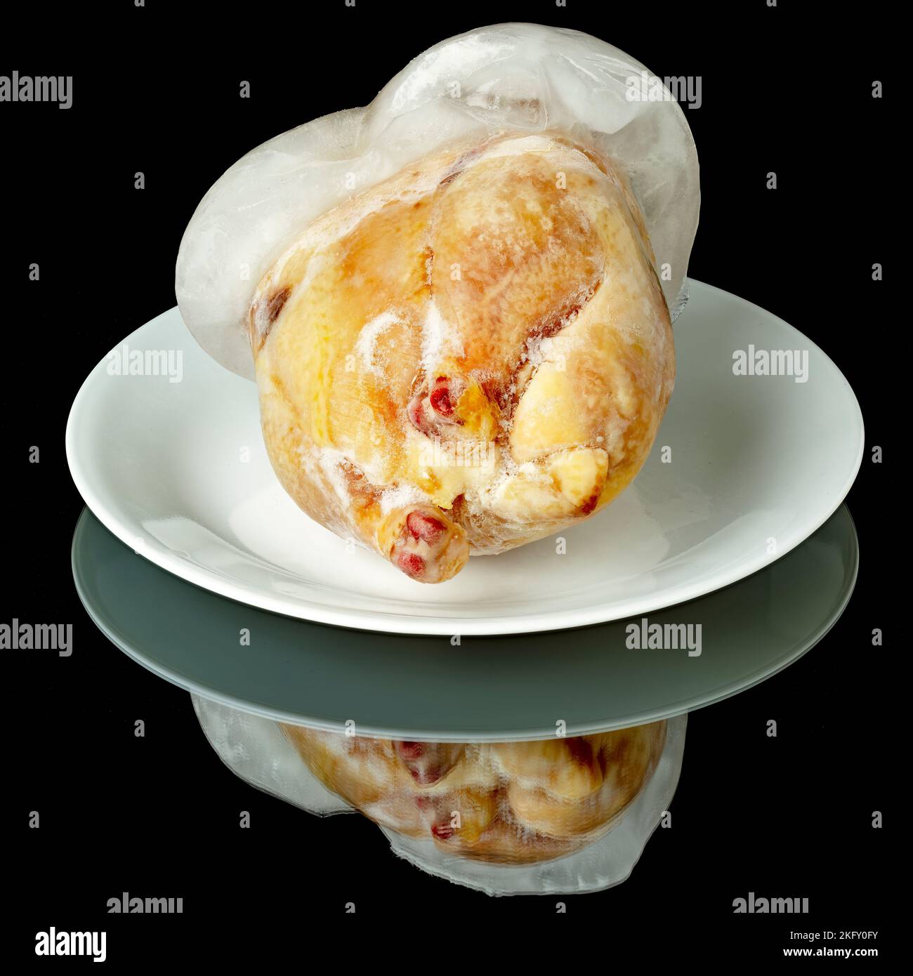Block of ice attached to a Game Hen on white plate Stock Photo