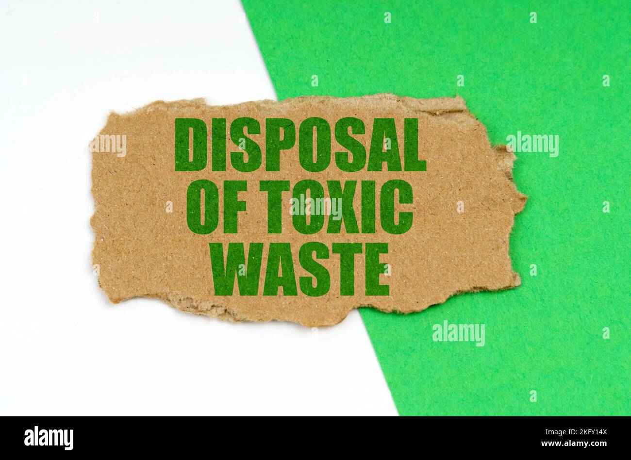 Environmental concept. On a whitegreen background lies a piece of cardboard with the