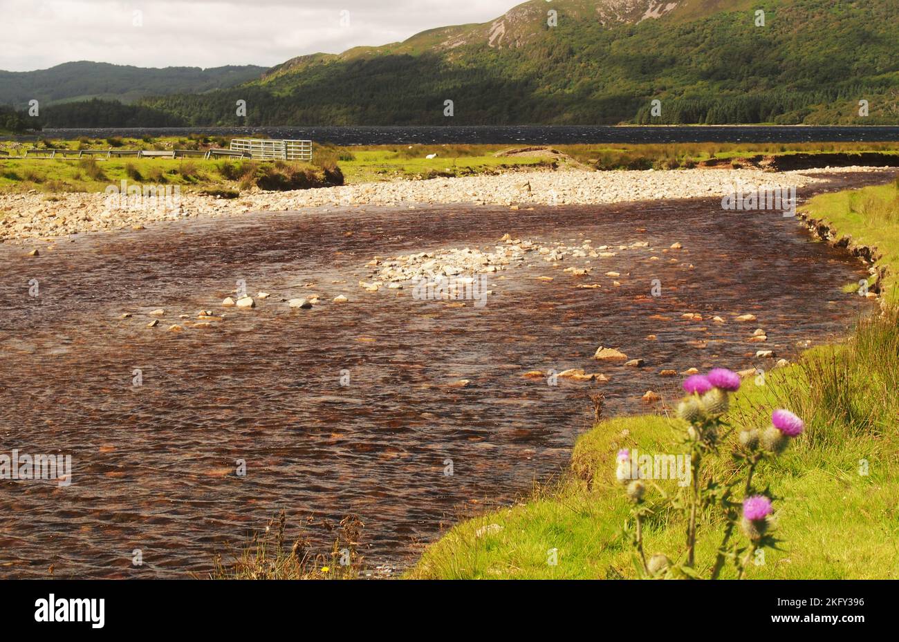 A view at the south east end of Loch Ba, Mull, Scotland showing the rocky, stony river and wild, remote landscape Stock Photo