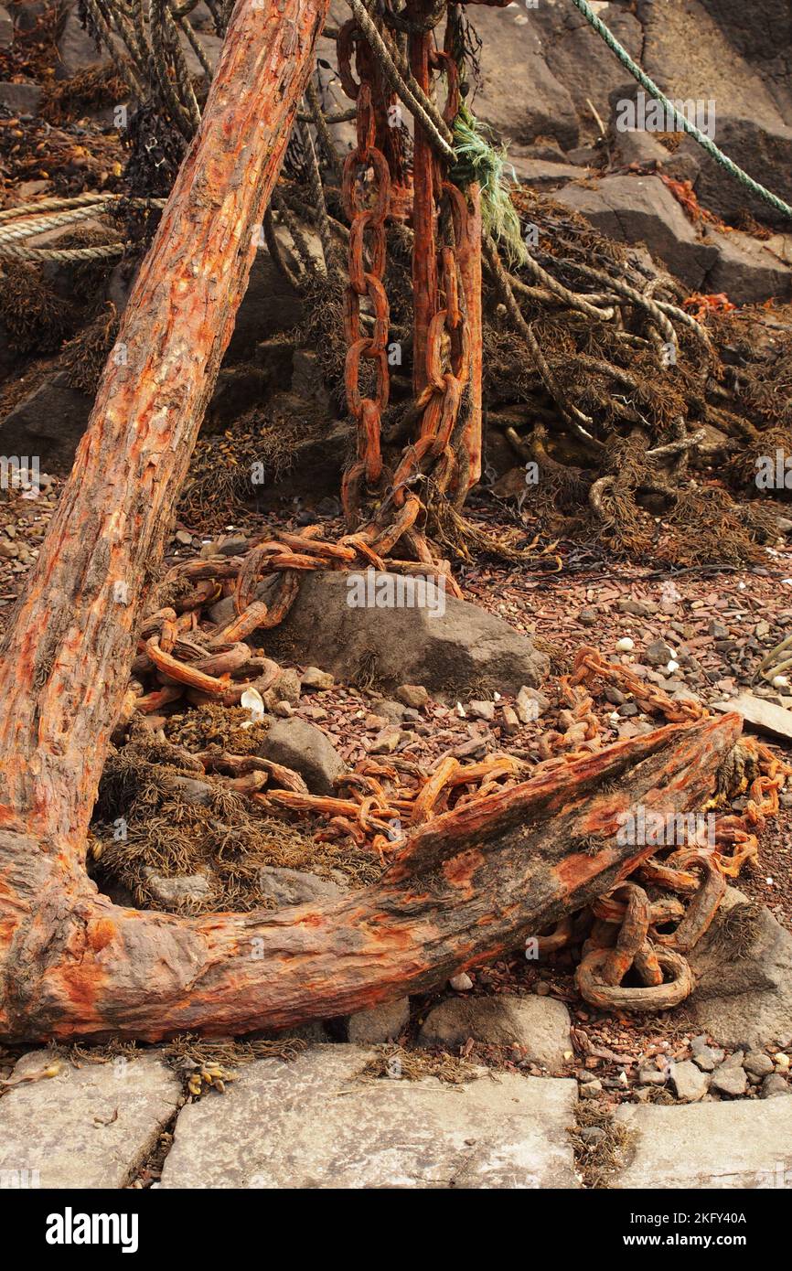 Tangled ropes and chains hanging from a rusty anchor with dried seaweed