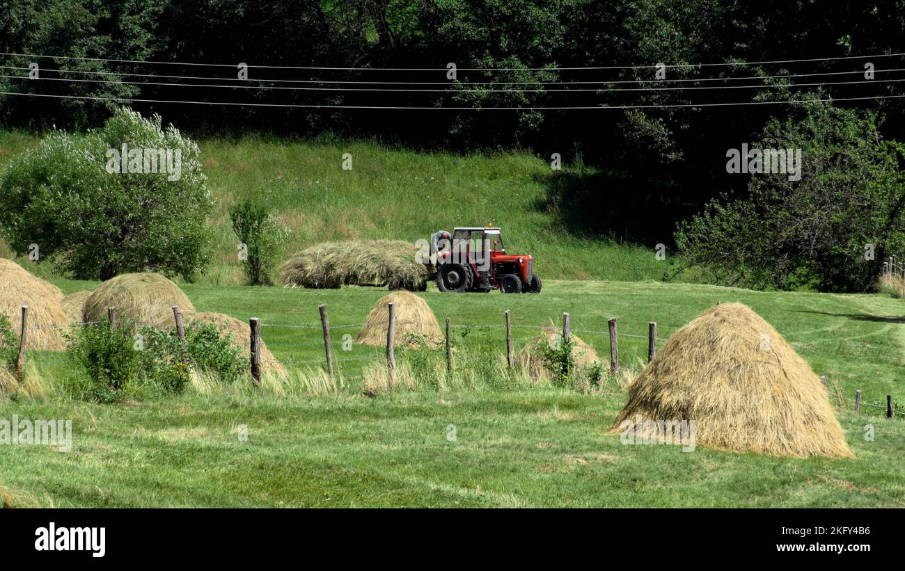 Haystacks tractor working fields hi-res stock photography and images ...
