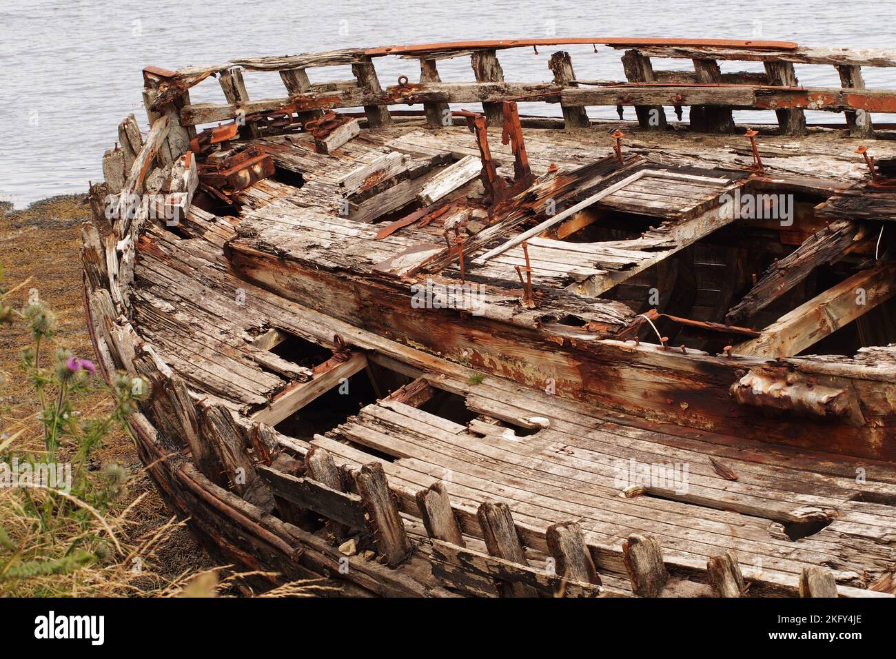 An large, old, wrecked wooden boat, in dry dock, showing the rotting timbers, nuts and bolts and