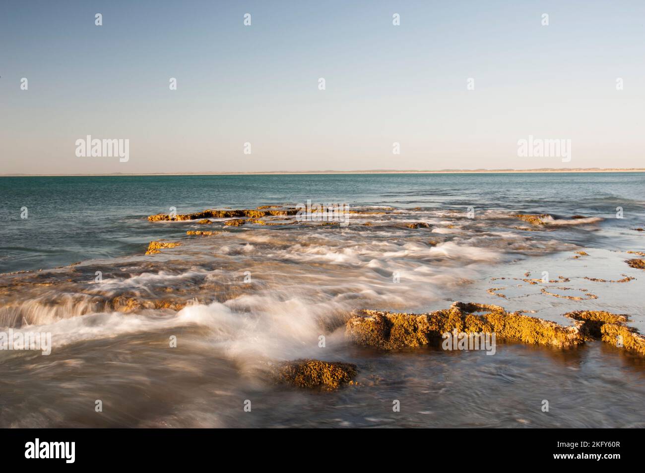 Waves wash over the sculpted limestone reef, lifting the seaweed with