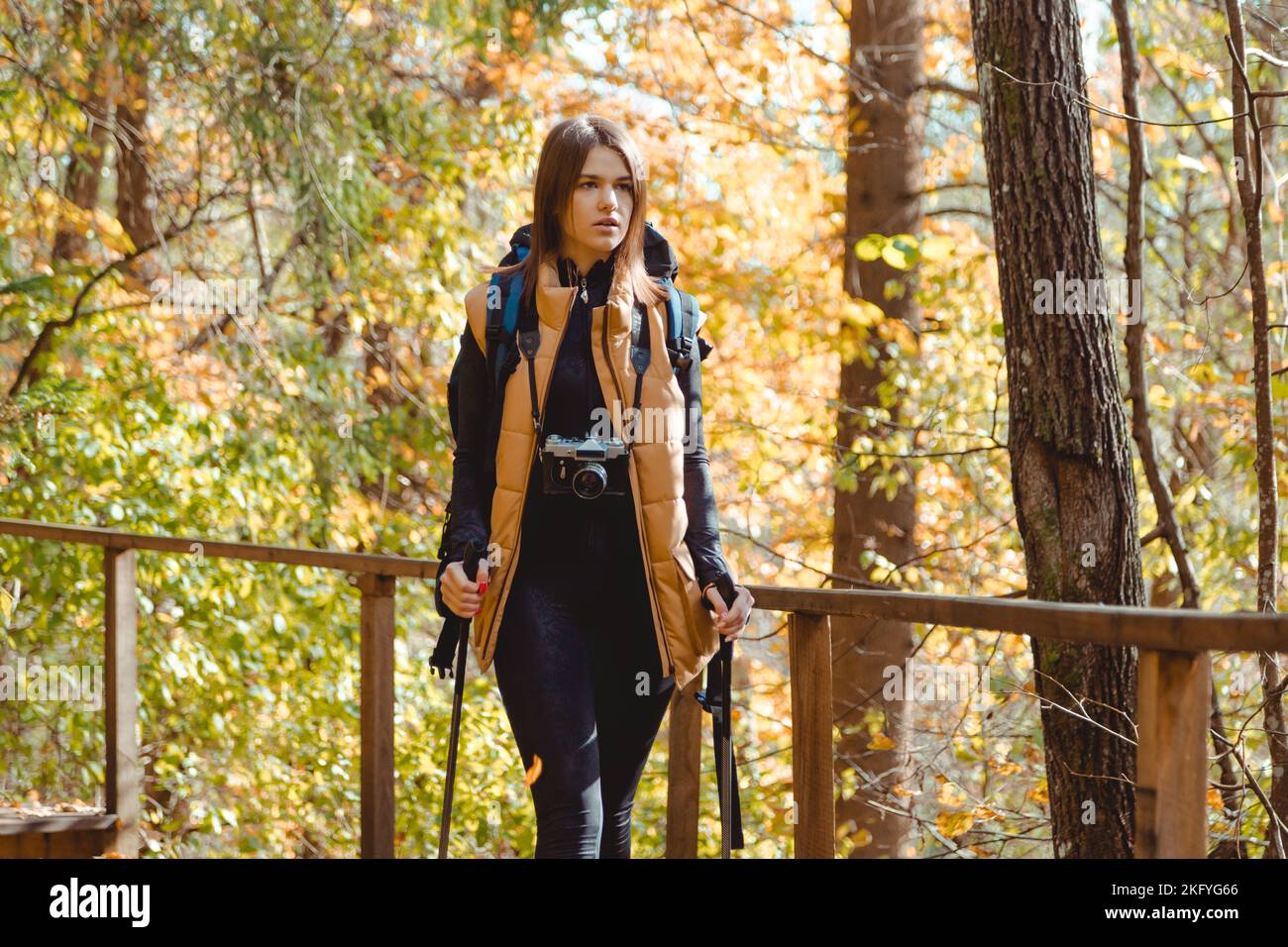 Woman traveler hiking in the woods with camera, backpack and Nordic