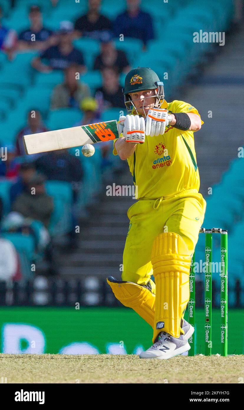 Sydney, Australia. 19 Nov 2022. Australia v. England cricket match in