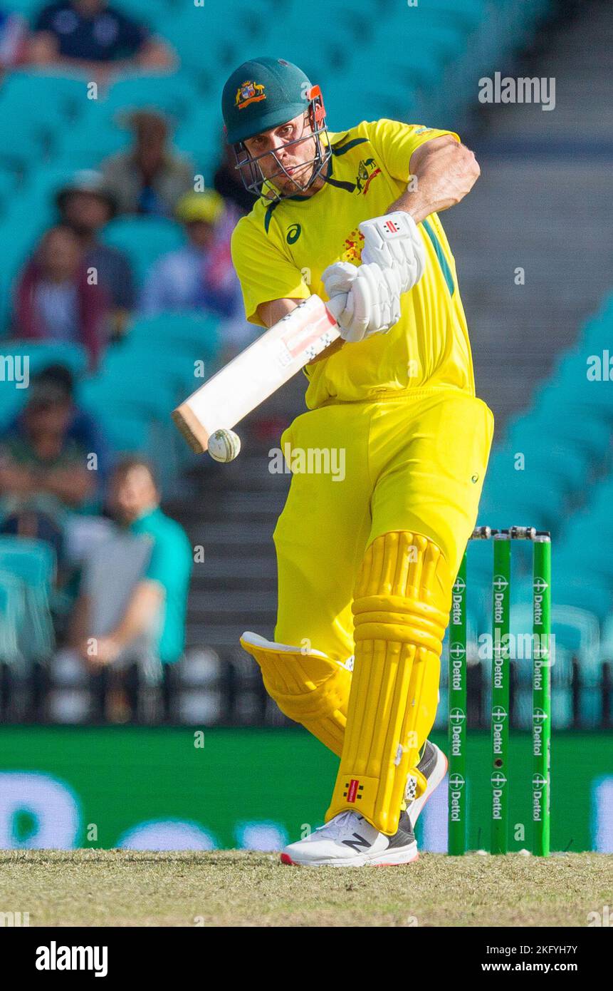 Sydney, Australia. 19 Nov 2022. Australia v. England cricket match in
