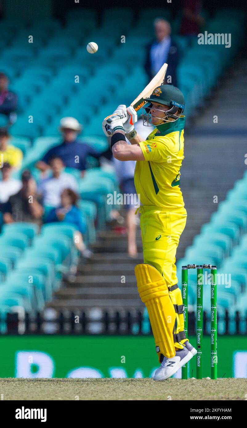 Sydney, Australia. 19 Nov 2022. Australia v. England cricket match in the 2022-2023 'One Day International' series (ODI) at Sydney Cricket Ground. Pictured: Steve Smith. Stock Photo