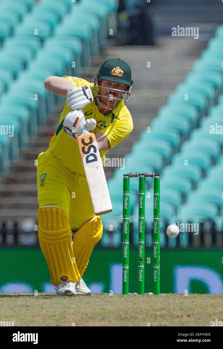 Sydney, Australia. 19 Nov 2022. Australia v. England cricket match in