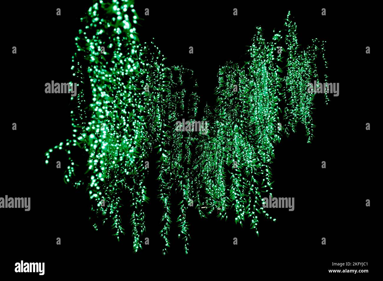 London, England - December 26 2021: Illuminated tree decorations at Lightopia in Crystal Palace park, London Stock Photo