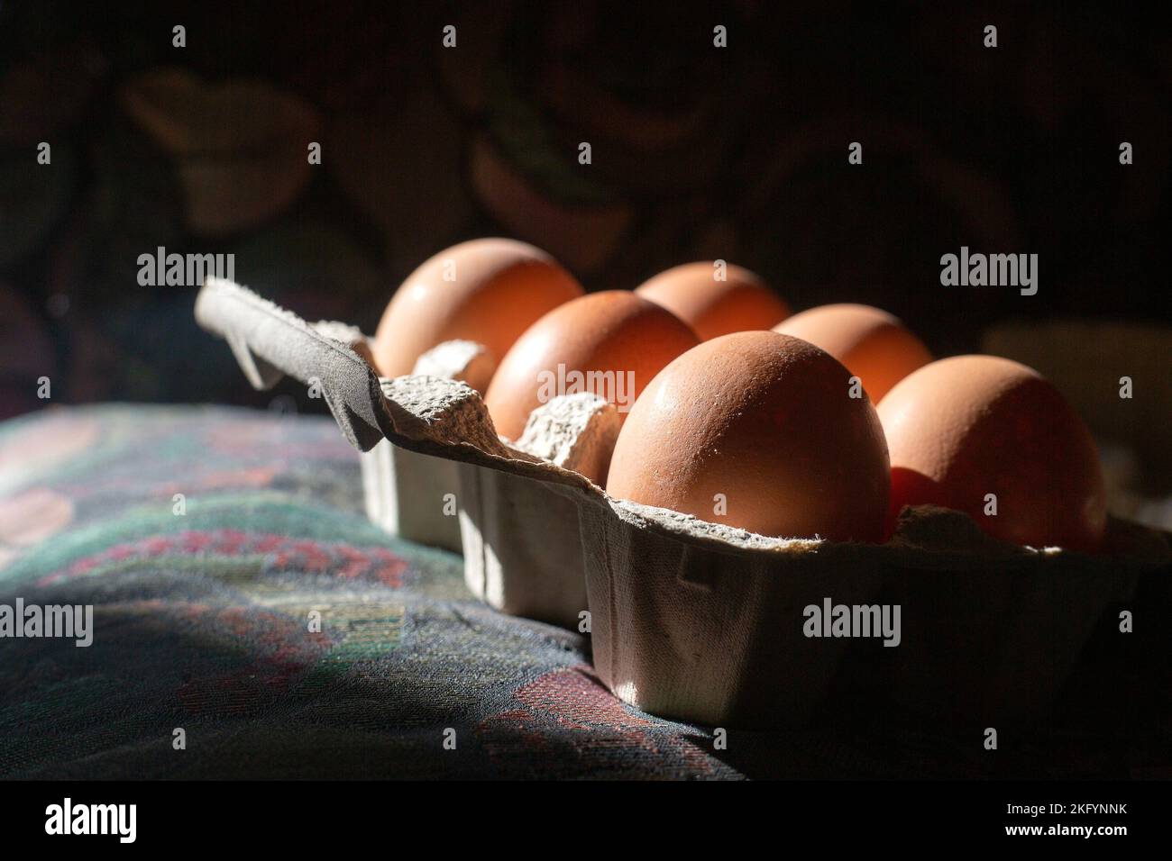 Close up picture of side view of six brown fresh eggs in grey paper