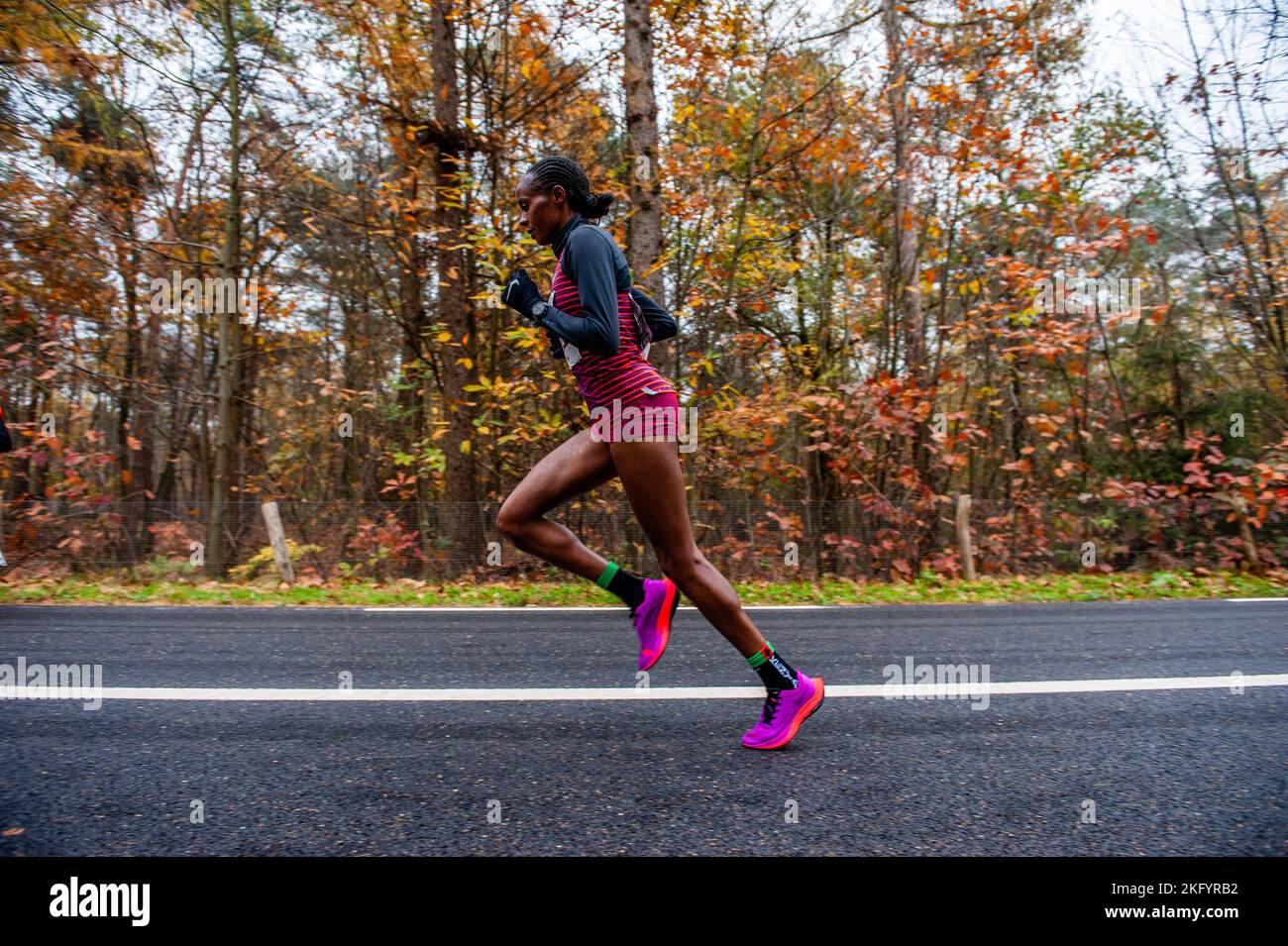 Beatrice road hi-res stock photography and images - Alamy