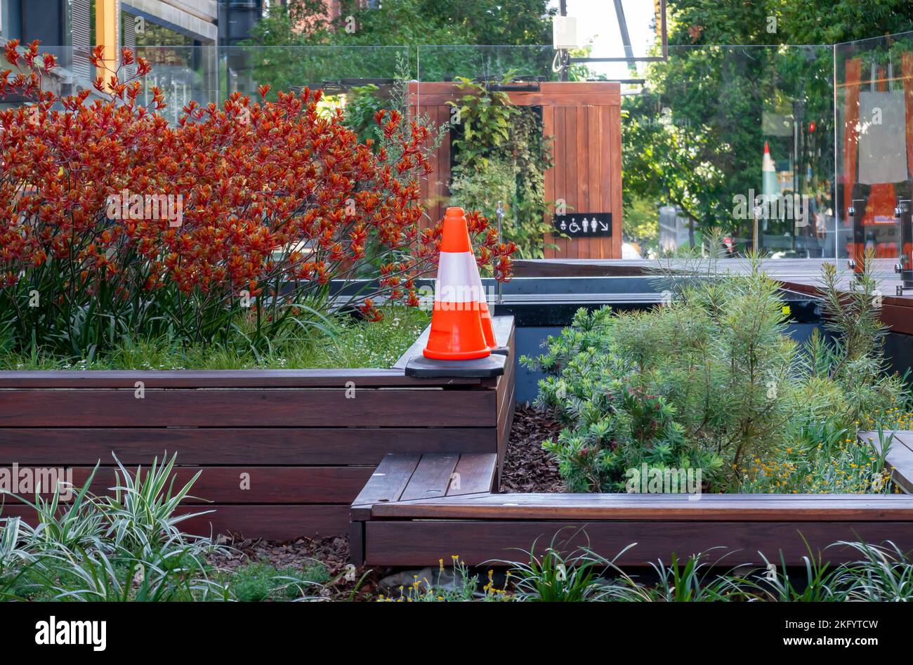 Traffic cones in raised garden beds filled with plants in Brisbane city mall, Queensland
