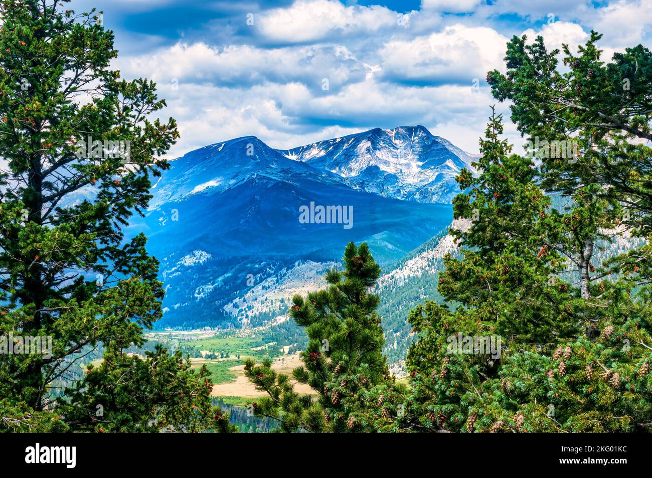 Deer Trail in Rocky Mountain National Park Stock Photo - Alamy