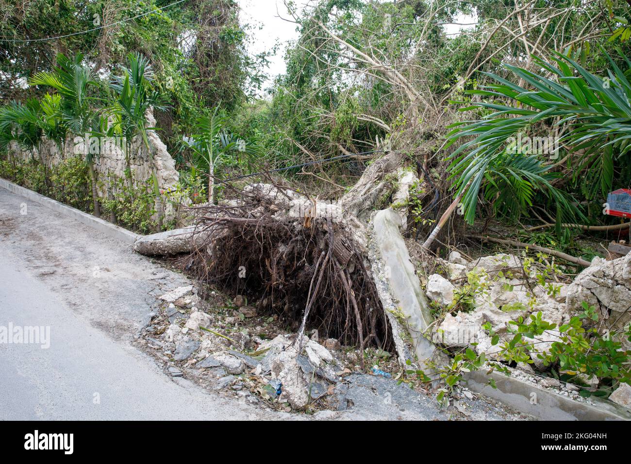 Consequences of Hurricane Fiona. Dominican Republic. Punta cana. Stock Photo