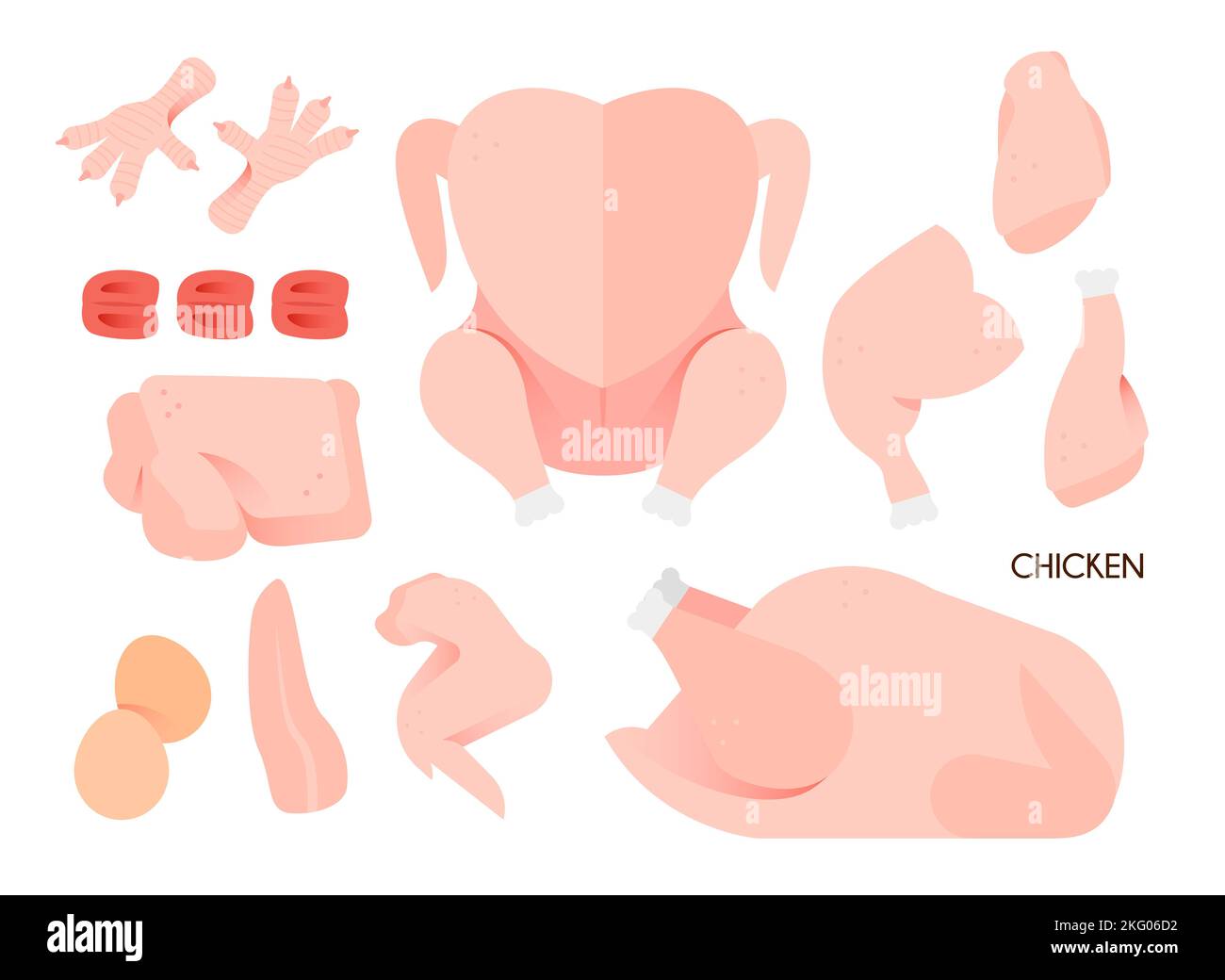 Meat Object parts of chicken meat vector illustration Stock Photo - Alamy