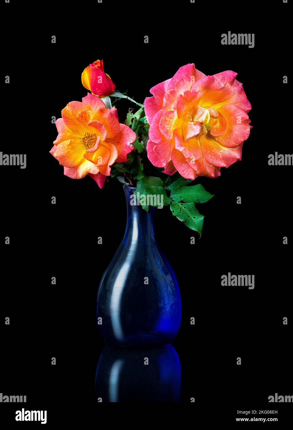 A vase of roses. Stock Photo