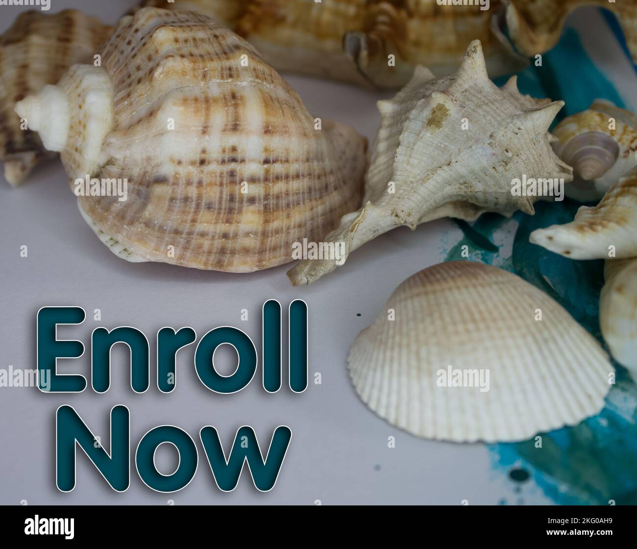 Animal Shell, Summer vacation, marine background with Enroll Now text ...