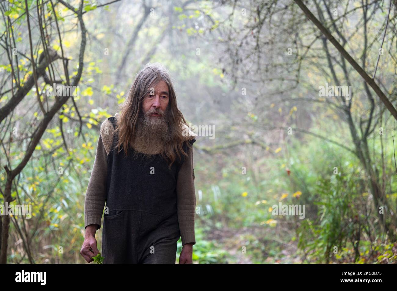 Sonnemann hi-res stock photography and images - Alamy