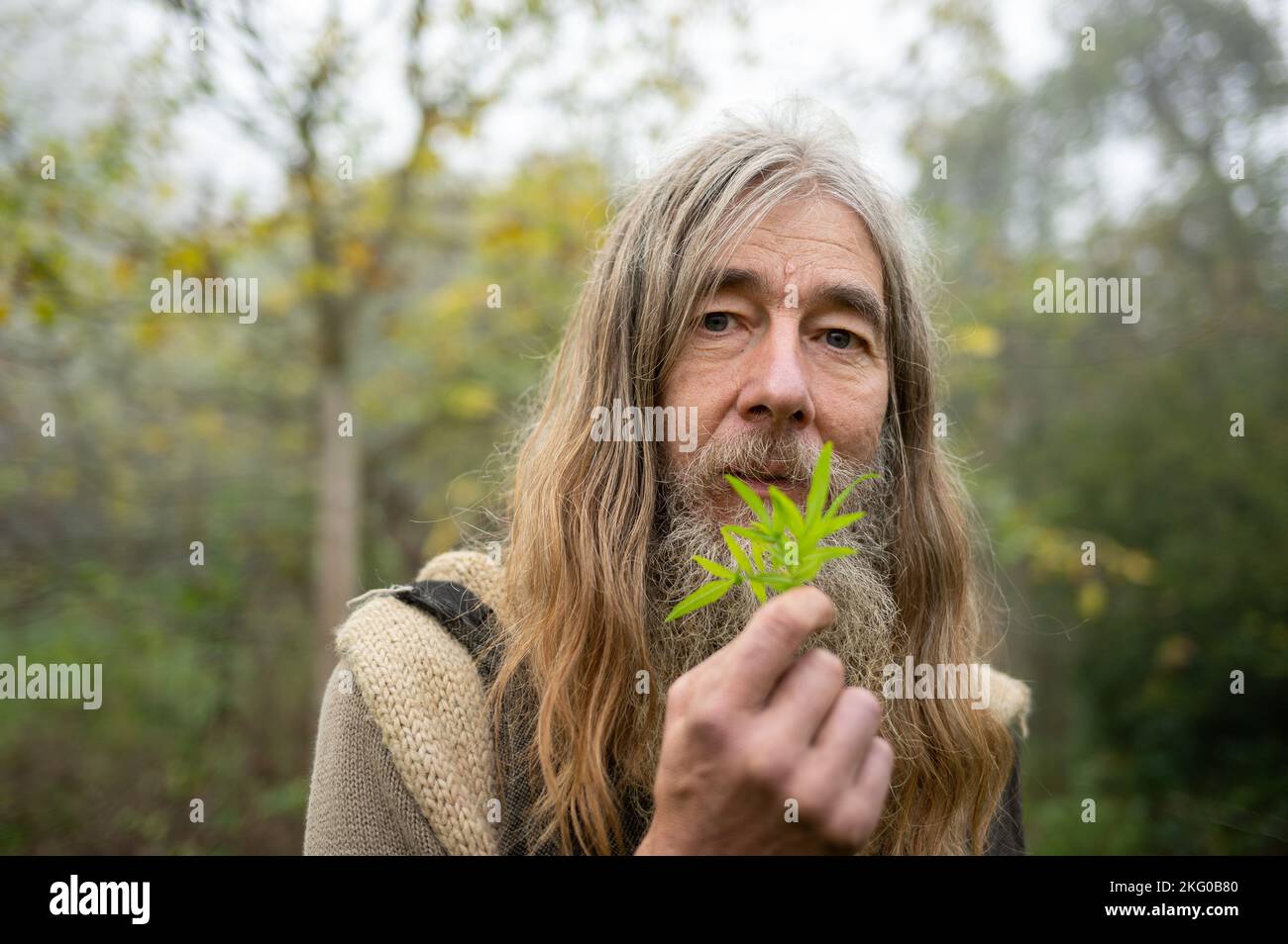 Longkamp, Germany. 11th Nov, 2022. Friedmunt Sonnemann shows a huacatay (spice tagetes) from the Andes in South America in his garden. For more than three decades he has lived as a dropout in a self-built mud hut in the forest. (to dpa text: A dropout in the forest - 'I lack nothing') Credit: Harald Tittel//dpa/Alamy Live News Stock Photo