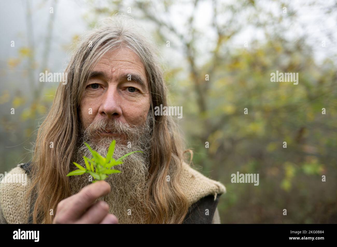 Longkamp, Germany. 11th Nov, 2022. Friedmunt Sonnemann shows a huacatay (spice tagetes) from the Andes in South America in his garden. For more than three decades he has lived as a dropout in a self-built mud hut in the forest. (to dpa text: A dropout in the forest - 'I lack nothing') Credit: Harald Tittel//dpa/Alamy Live News Stock Photo