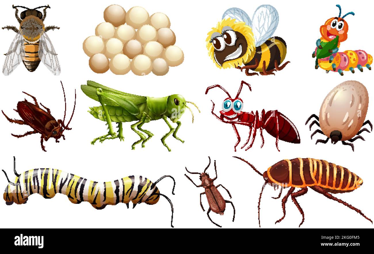 Different kinds of insects collection illustration Stock Vector Image ...
