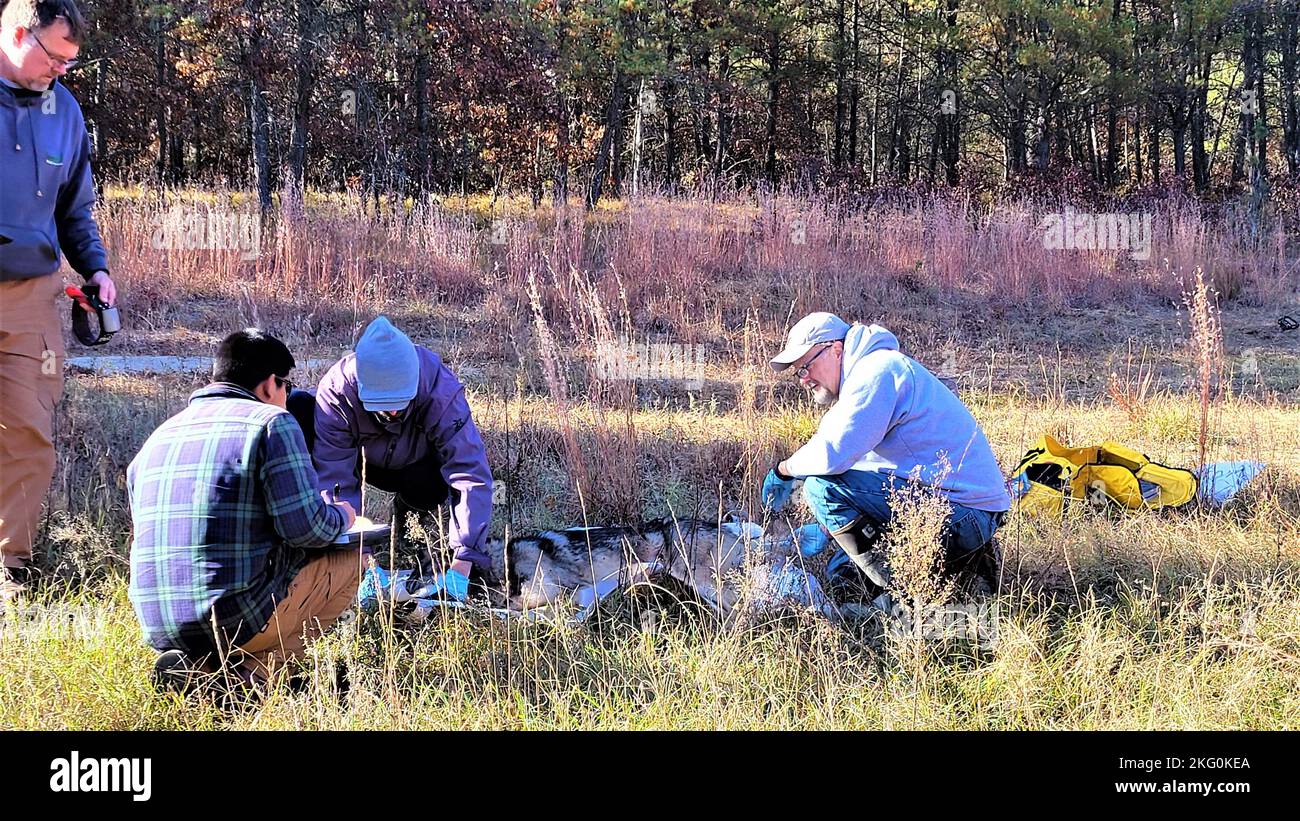 Fort mccoy department of public works environmental division nat hires stock photography and