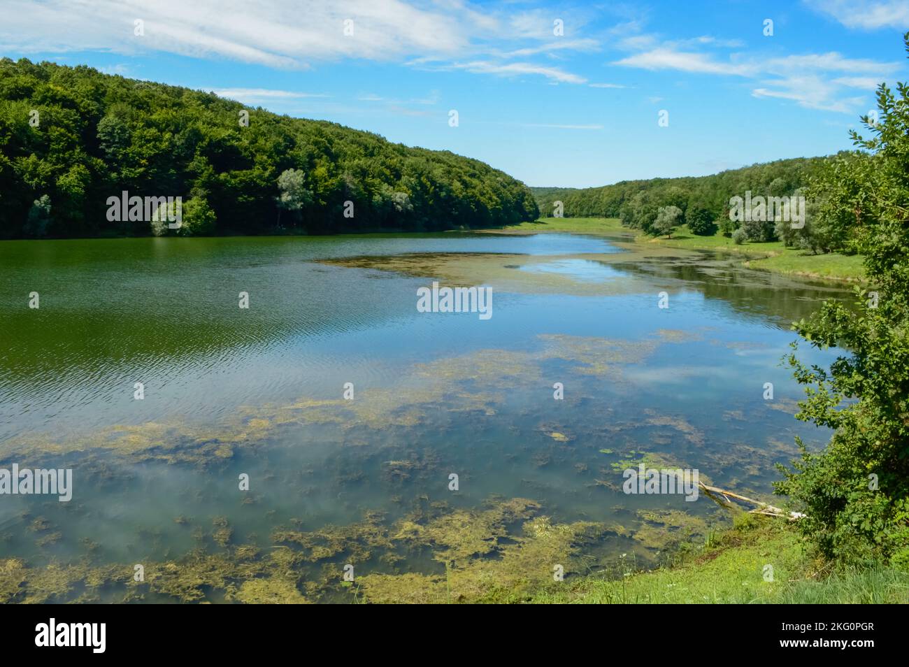 The Borovik Lake is located west of Đakovo and has an elongated shape. Borovik is one of the most attractive places in Croatia and this part of Europe Stock Photo