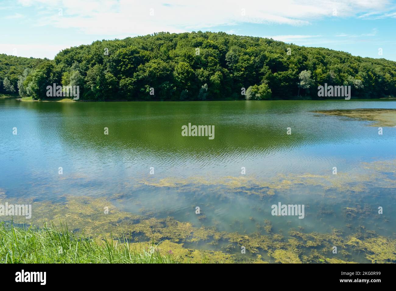 The Borovik Lake is located west of Đakovo and has an elongated shape. Borovik is one of the most attractive places in Croatia and this part of Europe Stock Photo