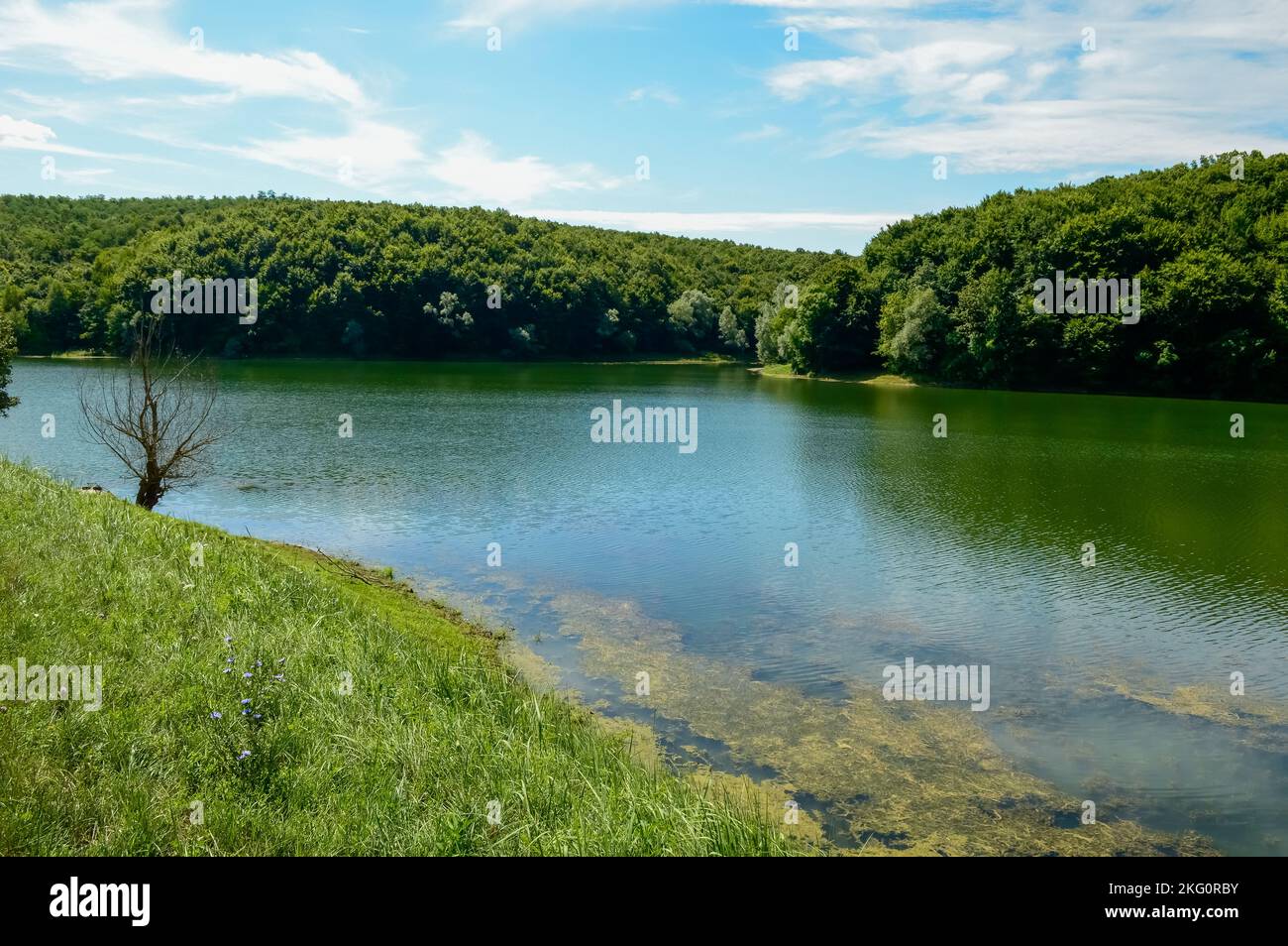The Borovik Lake is located west of Đakovo and has an elongated shape ...