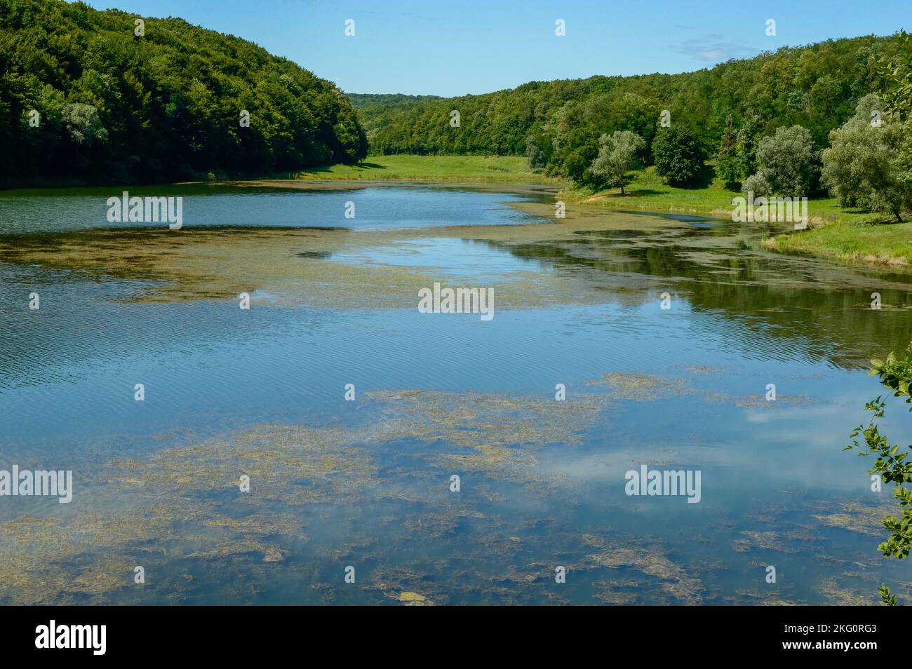 The Borovik Lake is located west of Đakovo and has an elongated shape. Borovik is one of the most attractive places in Croatia and this part of Europe Stock Photo