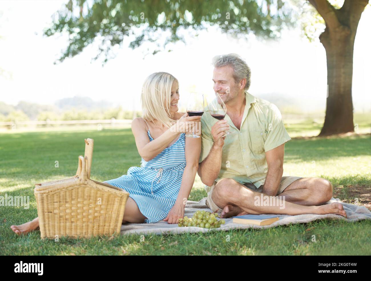 Lovely Day For A Picnic Stock Photo - Download Image Now - Adult, Adults  Only, Basket - iStock