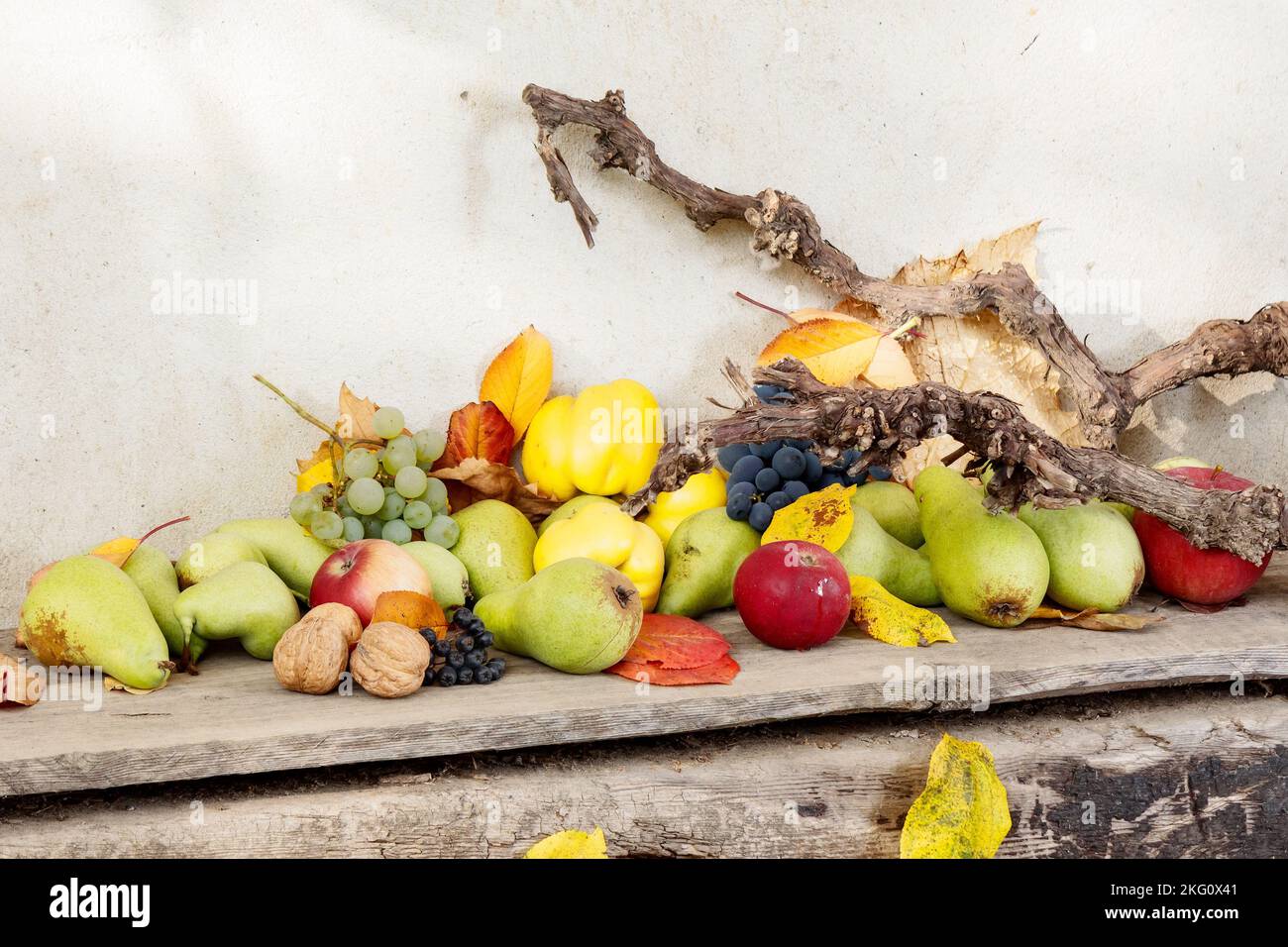 autumn crop on the wooden board. lots of ripe fruits. natural grown food and rural lifestyle Stock Photo