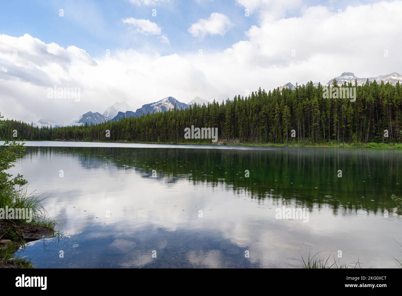 An aerial view of lake surrounded by dense trees Stock Photo - Alamy